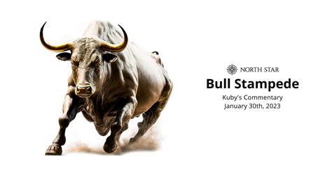 Bull Stampede NetBet