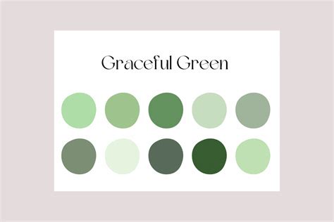 Graceful Green Novibet