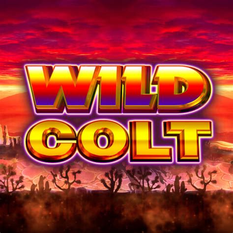 Wild Colt Novibet