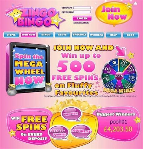 Zingo bingo casino Belize